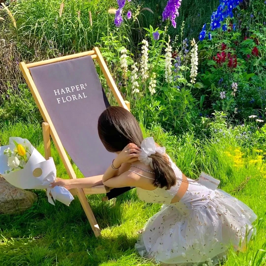 陆机长,姜小姐乘风而行